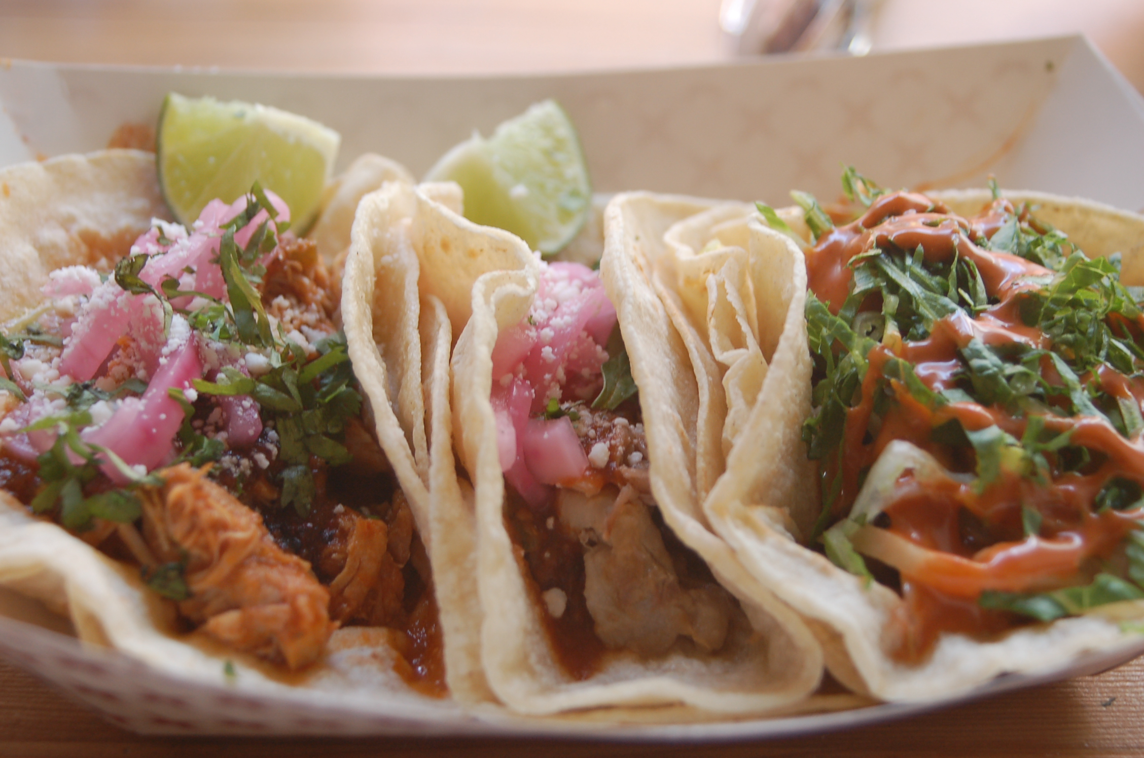 Oaxaca Revolucion de Taco (13) « Campus Clipper