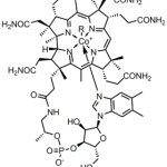 Molecular structure of B12