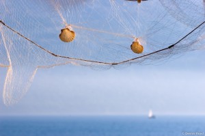 the net that holds you from opportunity